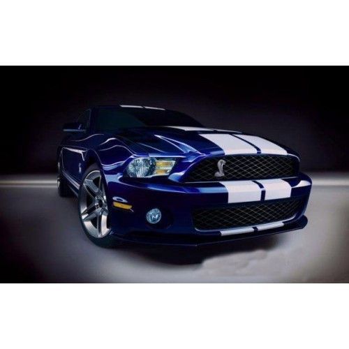 Эмблема "Ford Shelby Cobra" на переднюю решетку 30058 фото