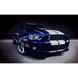 Эмблема "Ford Shelby Cobra" на переднюю решетку 30058 фото 2