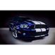 Автомобільна Емблема "Ford Shelby Cobra" - комплект 2 шт. 300591 фото 3