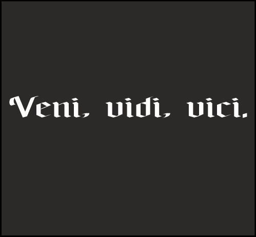 Наклейка Veni, vidi, vici." (Пришёл, увидел, победил.) 45*5 см 200757 фото