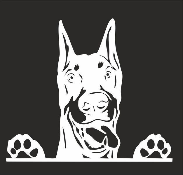Наклейка виниловая Доберман Doberman 25х22см 20165 фото
