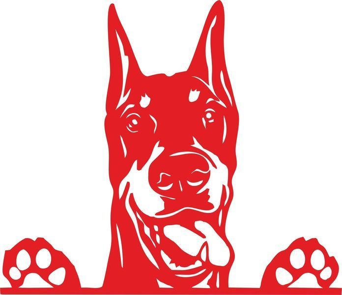 Наклейка виниловая Доберман Doberman 25х22см 20165 фото