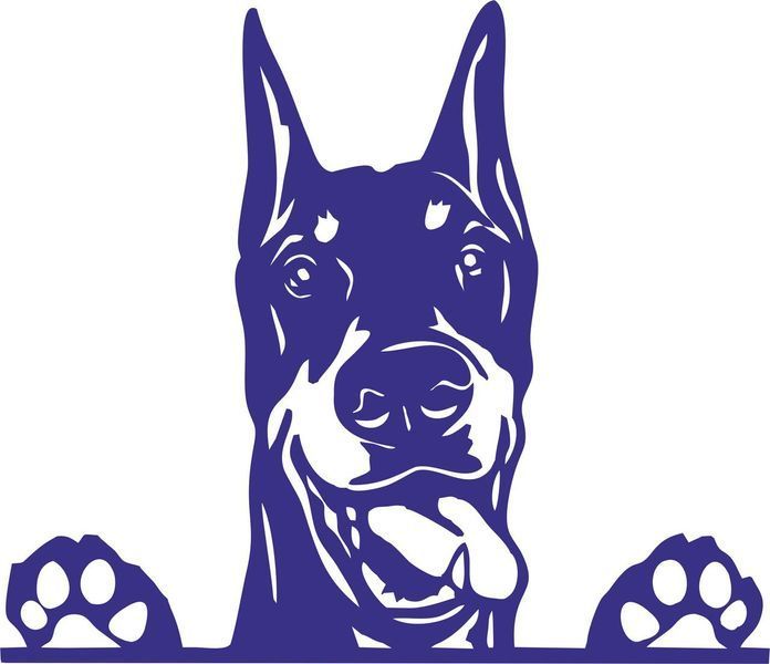Наклейка виниловая Доберман Doberman 25х22см 20165 фото