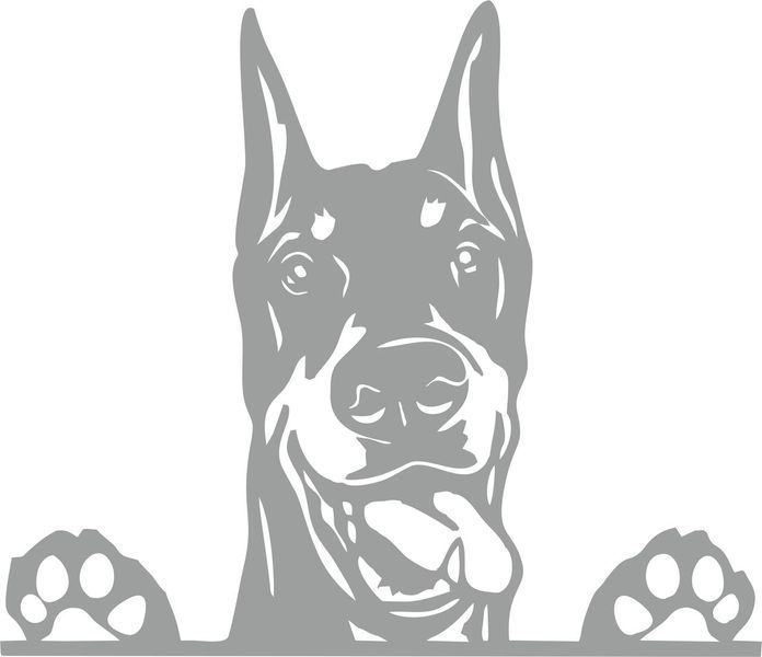 Наклейка виниловая Доберман Doberman 25х22см 20165 фото