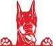Наклейка виниловая Доберман Doberman 25х22см 20165 фото 8