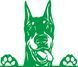 Наклейка виниловая Доберман Doberman 25х22см 20165 фото 7