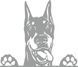 Наклейка виниловая Доберман Doberman 25х22см 20165 фото 5
