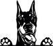 Наклейка виниловая Доберман Doberman 25х22см 20165 фото 1