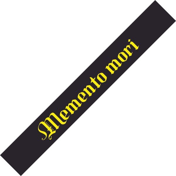 Сонцезахисна наклейка на лобове скло Memento mori 200112 фото